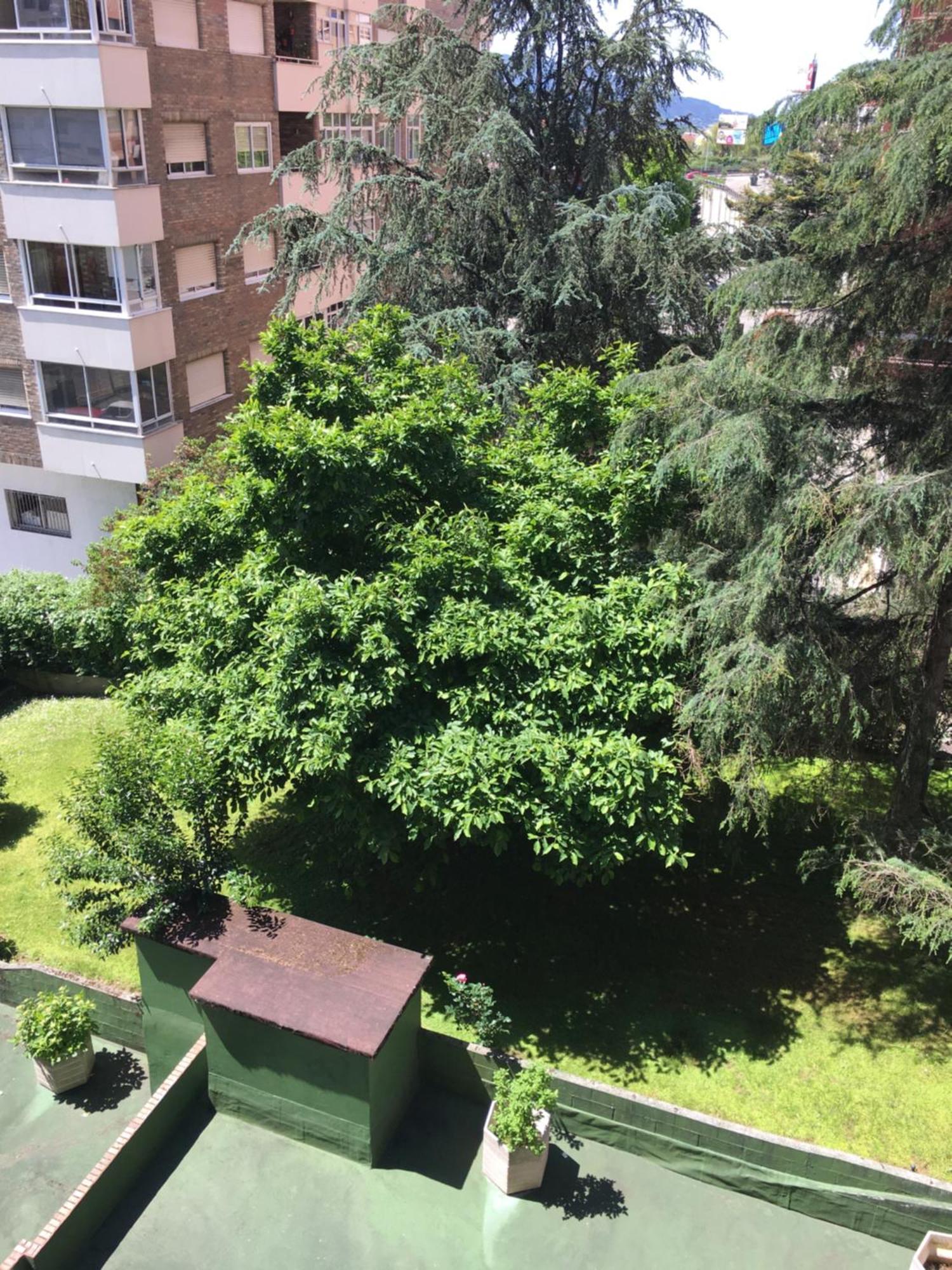 Gaivota Amplio Y Luminoso Con Plaza De Garaje Apartment Vigo Luaran gambar